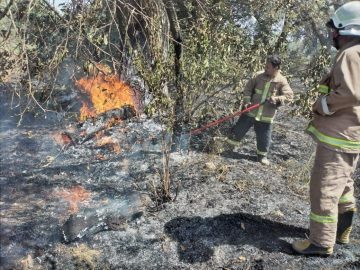 ۲۷۰ هکتار از مزارع و باغات باشت در آتش سوخت