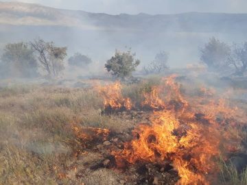 آتش در منطقه حفاظت شده خاییز کهگیلویه زبانه می کشد