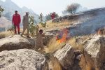 آتش سوزی مهیب در کوه لار و خامی باشت پس از چهار روز مهار شد