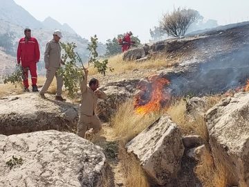 آتش سوزی مهیب در کوه لار و خامی باشت پس از چهار روز مهار شد