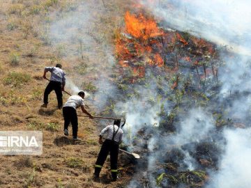 آتش‌سوزی گسترده در کوه‌های چیتاب بویراحمد+ فیلم