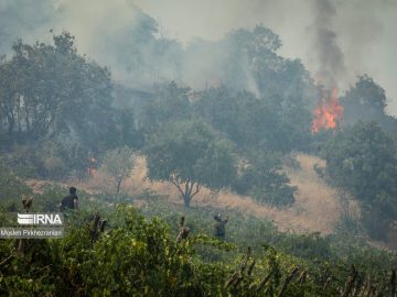 ۱۰ هکتار از جنگل های و مراتع  کوه پهن گچساران در آتش سوخت